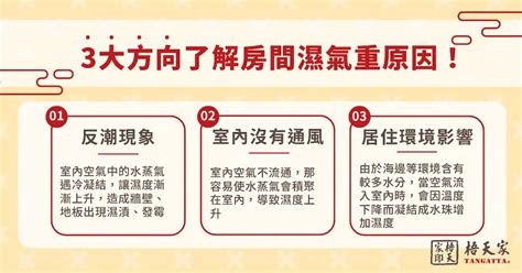 房間濕氣重|房間溼氣重對身體影響危害多！當心引發呼吸、皮膚等。